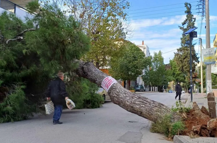  Αττική: Άνεμοι έως και 9 μποφόρ – Ξεριζώθηκαν δέντρα –Στα λευκά η βόρεια Ελλάδα