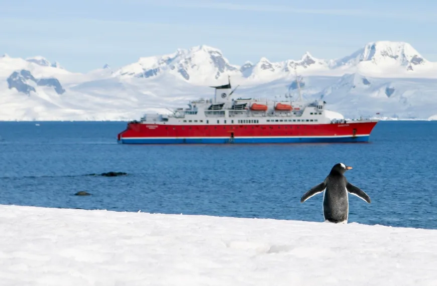 Τι είναι οι θαλάσσιοι καύσωνες στον Αρκτικό Ωκεανό- Πόσο επικίνδυνο είναι το φαινόμενο