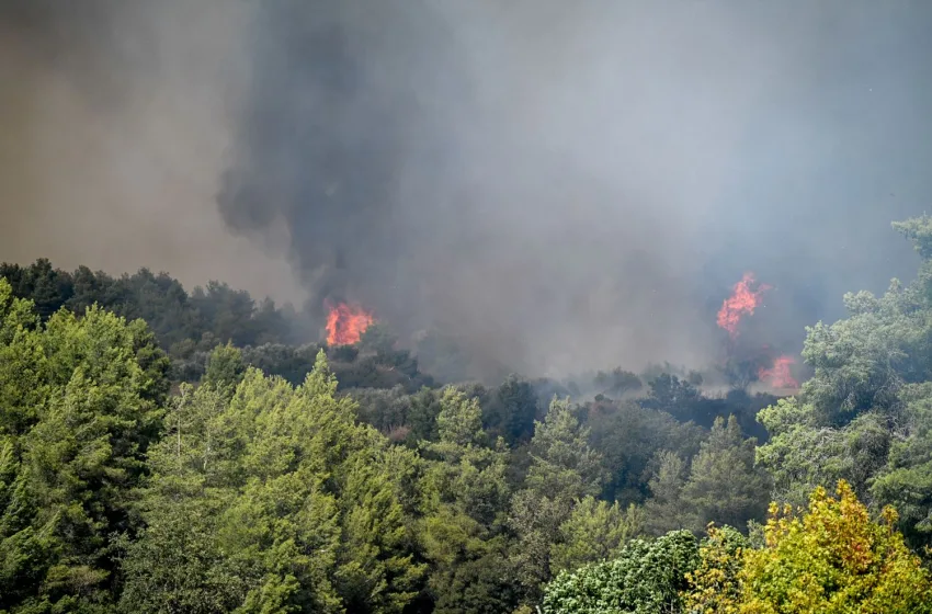  Πυροσβεστική: 43  πυρκαγιές το τελευταίο 24ωρο – Σύλληψη και  πρόστιμο σε 87χρονο στη Δράμα