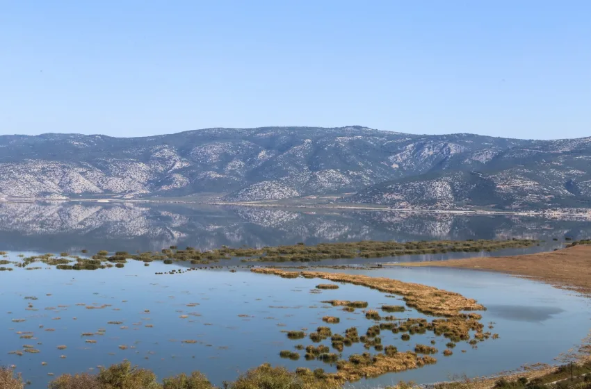  Λίμνη Κάρλα: Επανέρχεται στην έκτασή της πριν την κακοκαιρία Daniel- Δορυφορικές εικόνες