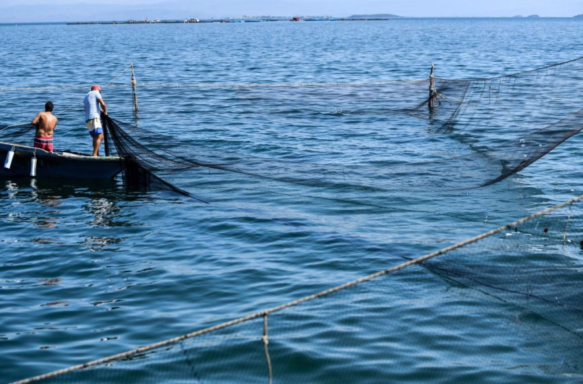  Ηράκλειο: Τα δίχτυα ψαρά έπιασαν αεροπλάνο του Β΄Παγκοσμίου Πολέμου