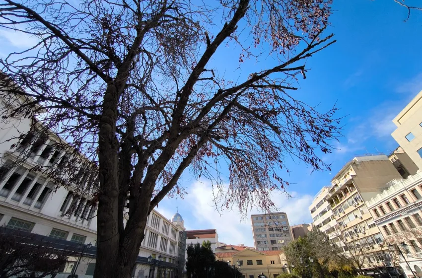  Συνεχίζεται η καλοκαιρία με ασθενείς και τοπικές βροχές