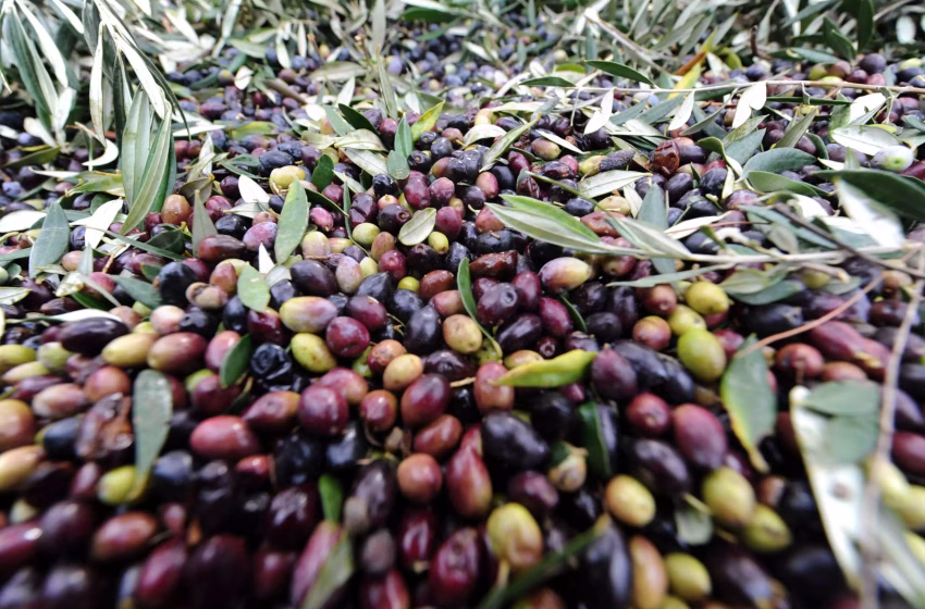  Ελαιόλαδο: Πώς από τα 4,60€ του χωραφιού φτάνει στα 14€ στο ράφι