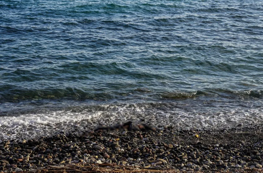  Ανησυχία στη Λέσβο από την υποχώρηση της θάλασσας – Η εξήγηση των επιστημόνων